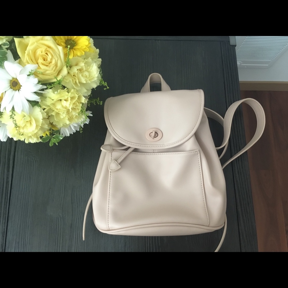 Urban Outfitters Backpack(medium size)